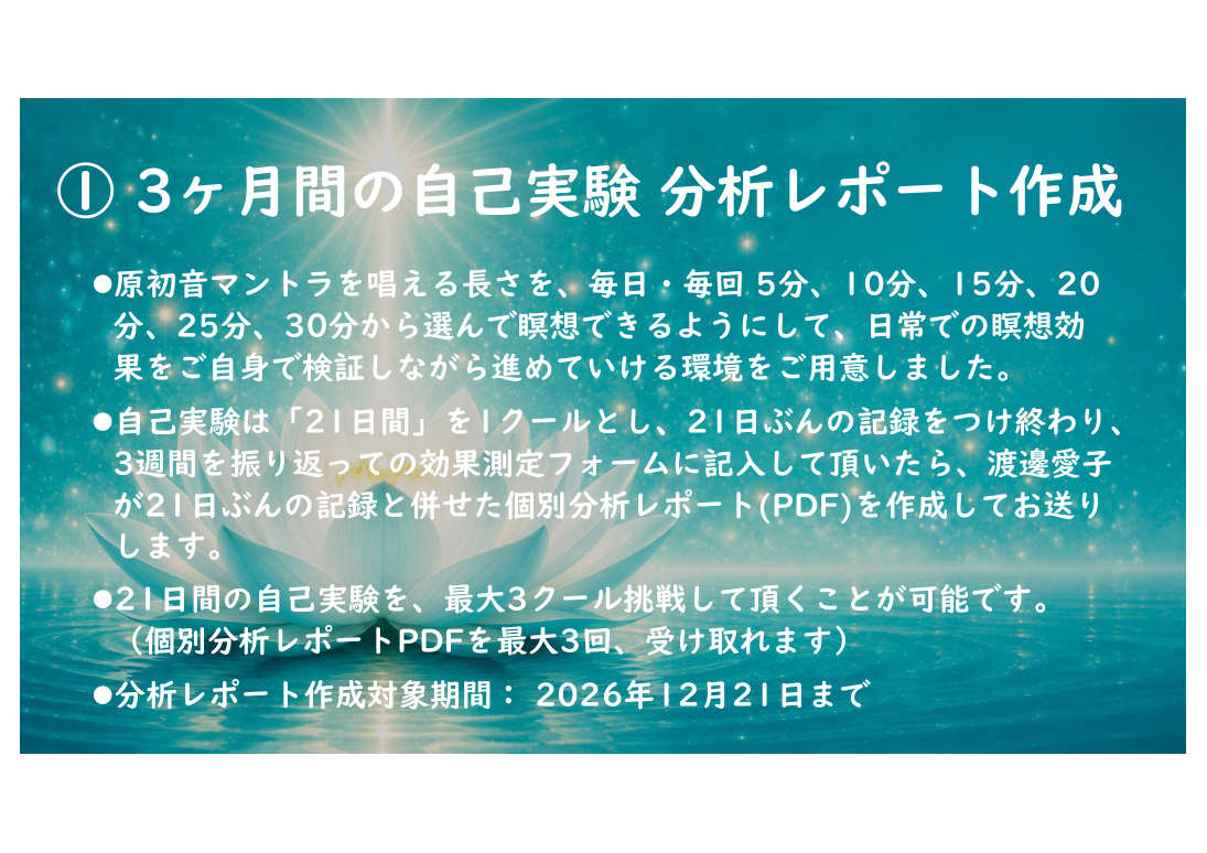 3ヶ月間の自己実験 分析レポート作成